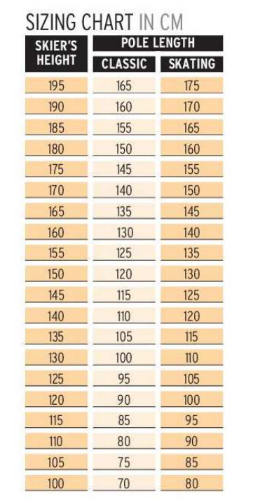 Běžecké hole Salomon Equipe 60 carbon 