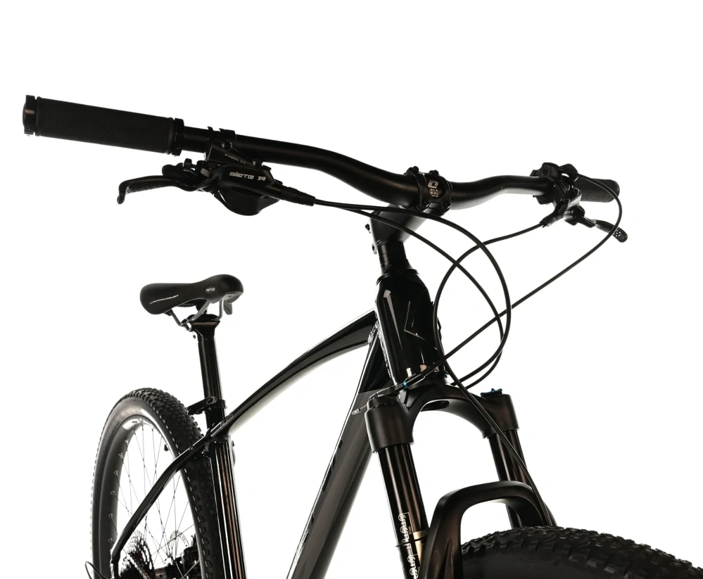 Horské kolo Leader Fox Trap 29 černá stříbrná 20