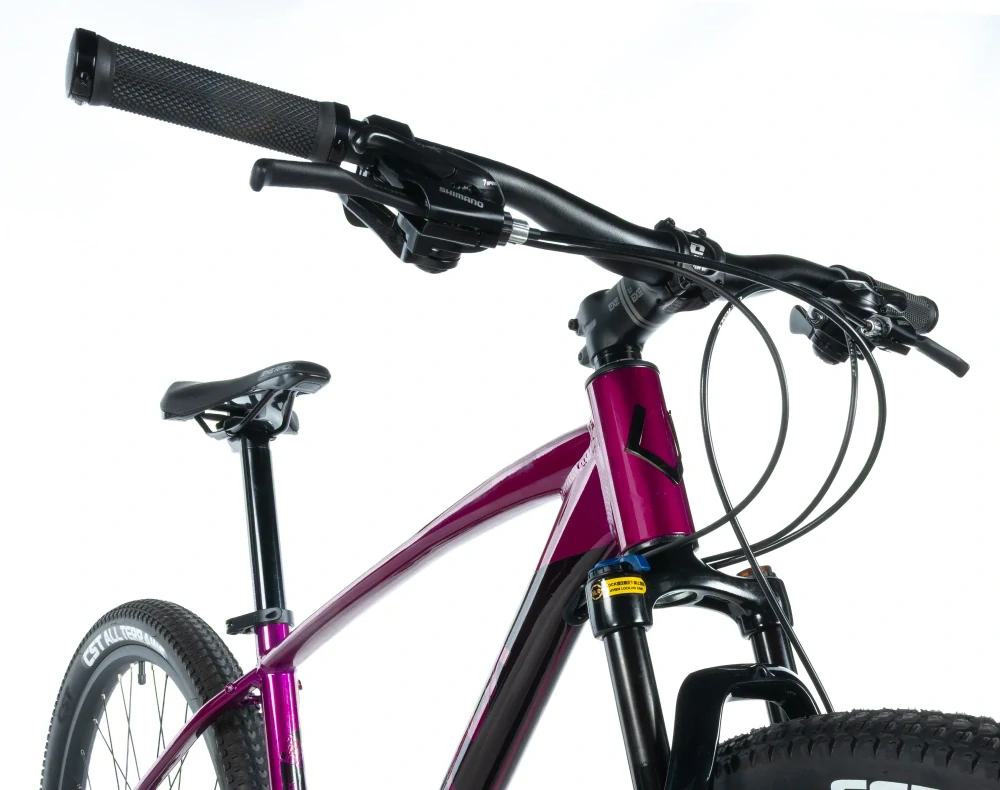 Horské kolo Leader Fox Jasper 29 fialová 2026