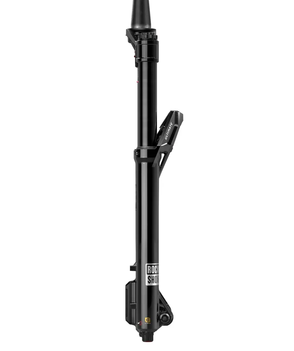 Vidlice Rock Shox Lyrik Ultimate Charger 3.2 RC2 29 Boost 15x110 150mm 44 mm offset černá