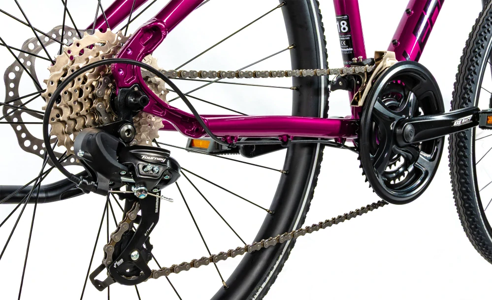 Jízdní kolo Leader Fox Away dámské fialová 2026