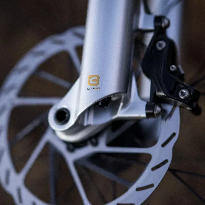 Vidlice Rock Shox Pike Ultimate Charger 3.1 RC2 29 Boost 15X110 130mm 44 mm offset stříbrná leská