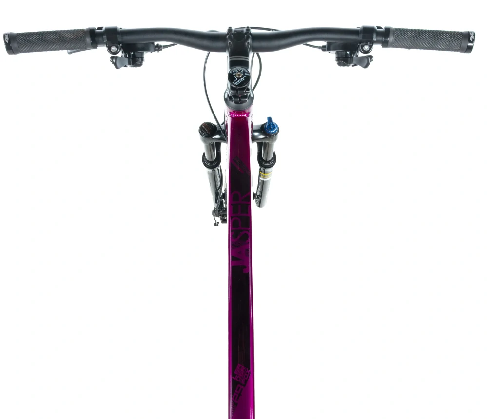 Horské kolo Leader Fox Jasper 29 fialová 2026