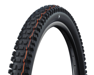 Plášt Schwalbe Albert 29x2.60 Gravity Pro TLR Addix Soft radial skládací